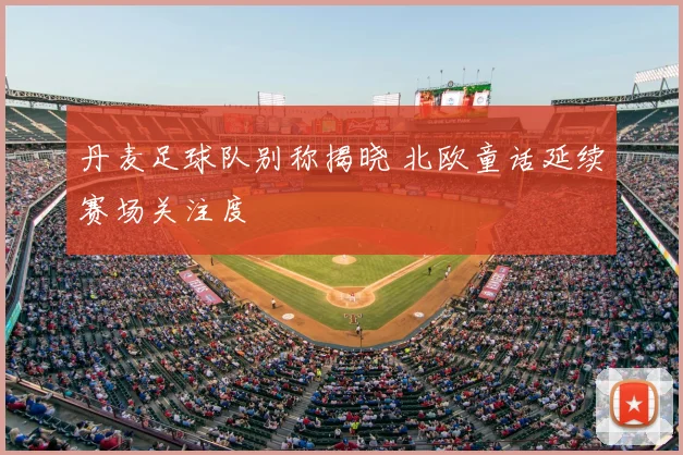 丹麦足球队别称揭晓 北欧童话延续赛场关注度