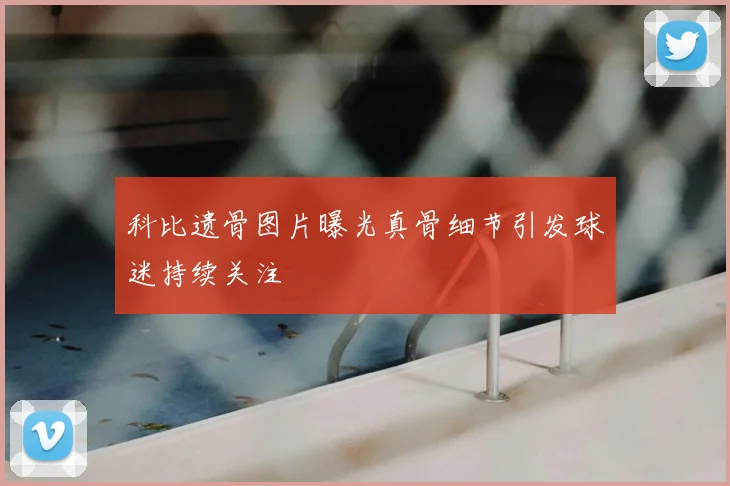 科比遗骨图片曝光真骨细节引发球迷持续关注